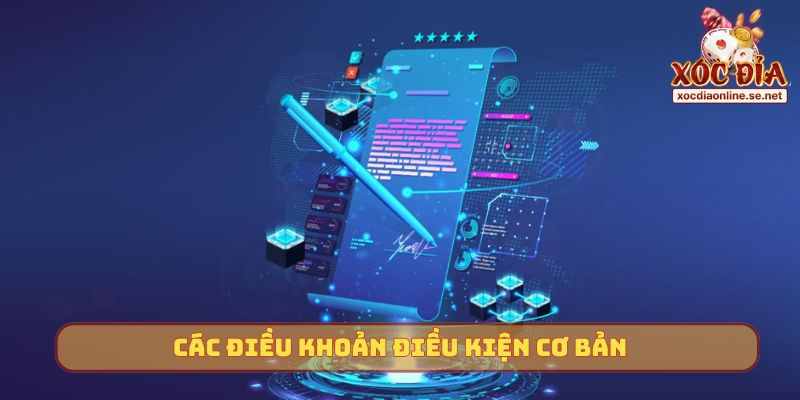 Các điều khoản điều kiện cơ bản
