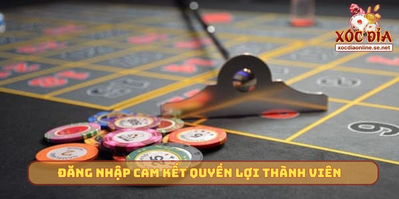 Đăng nhập cam kết quyền lợi thành viên