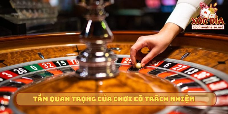 Tầm quan trọng của chơi có trách nhiệm