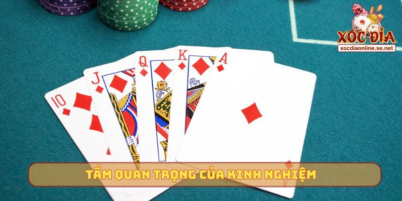 Tầm quan trọng của kinh nghiệm